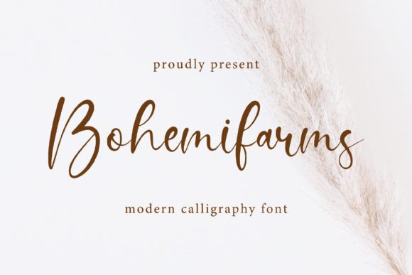 Bohemifarms: A Seductive Typeface for Modern Web Design