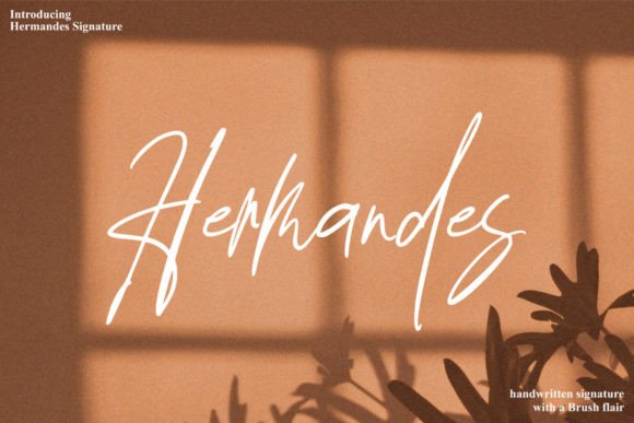 Hermandes Signature Review: A Designer’s Take