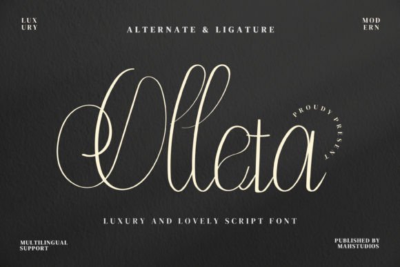 Olleta Script Amp: A Designer’s Honest Review for Real Projects