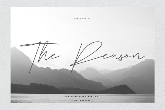 The Reason: A Premium Script Font for Scroll-Stopping Brand Stories