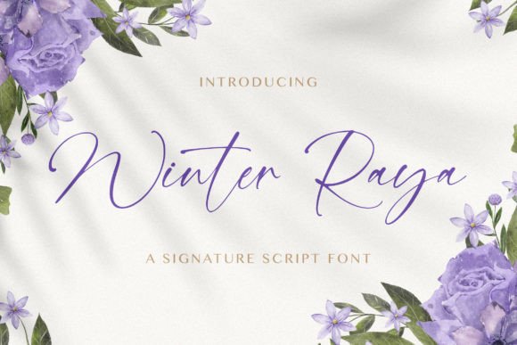 Winter Raya: The Elegant Script Typeface for Modern Web Design
